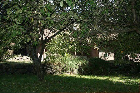 Picnic style back yard has easy access to and from the house.