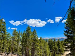 198 Spruce Dr, Twin Lakes, CO 81251