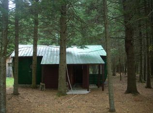 4902 Blue Mountain Rd, Saint regis falls, NY 12980