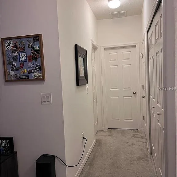 2510 Sedge Grass Way — Photo 20