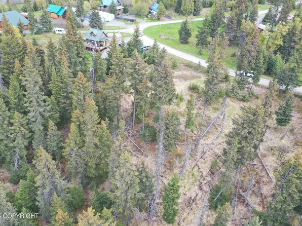 73630 Twin Peaks Loop, Anchor Point, AK 99556