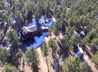 91 Four Bits St, Bailey, CO 80421