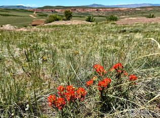 500 Bridge Rd, Red Feather Lakes, CO 80545