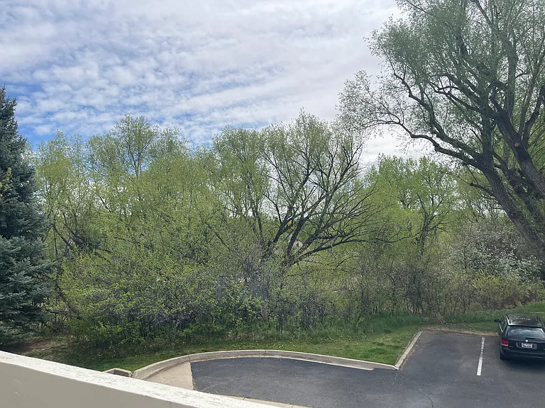 6866 Countryside Ln #248 — Photo 16