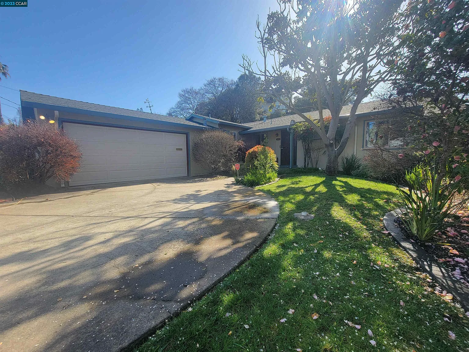 2492 Doidge Ave photo 1
