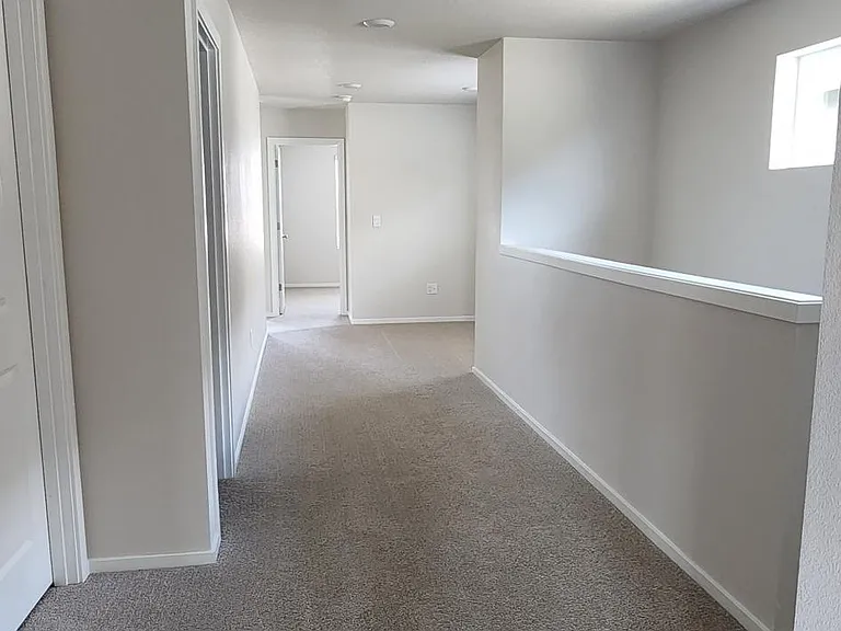 2215 Livesay Ln — Photo 13