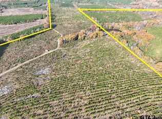 0 County Road 3201, Daingerfield, TX 75638