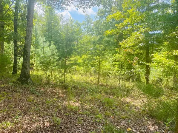 89 River Mountain Rd, Murphy, NC 28906