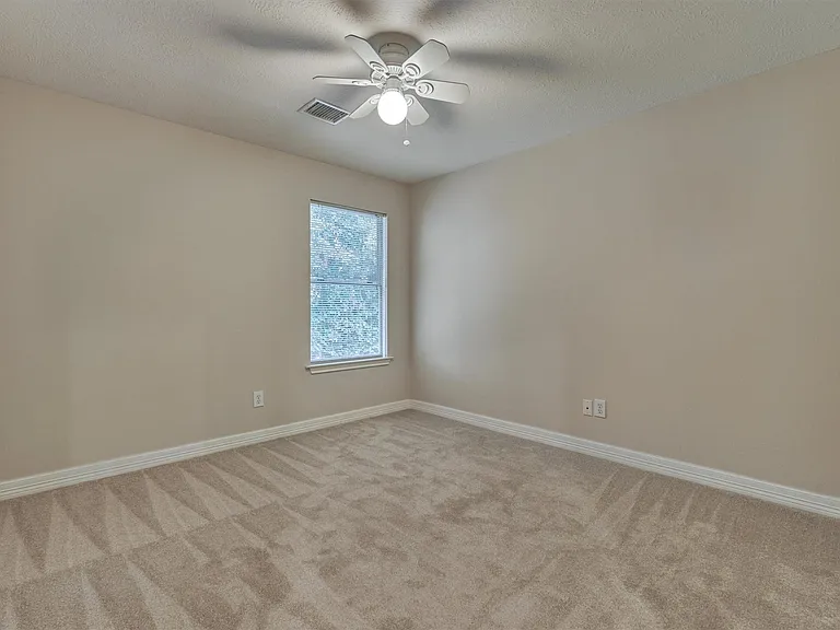231 Blushwood Pl — Photo 24