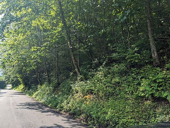 2nd image of 1144 Cole Ln Lot 20