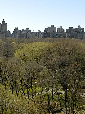 Sold by Sotheby's International Realty | media 12