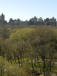 Sold by Sotheby's International Realty