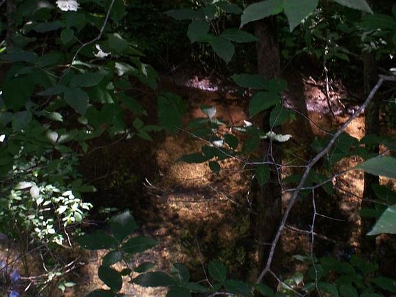 Roaring River Border