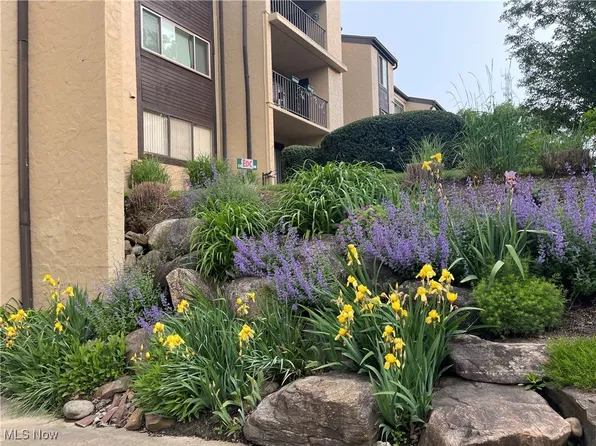 171 Court Dr APT 104, Fairlawn, OH 44333