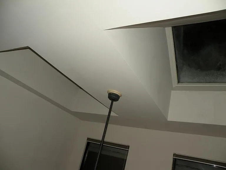 704 Bellefonte St #3 — Photo 14