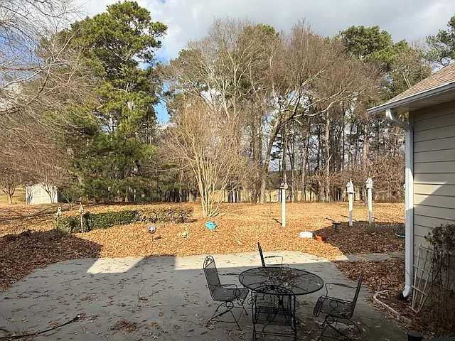 Backyard patio view