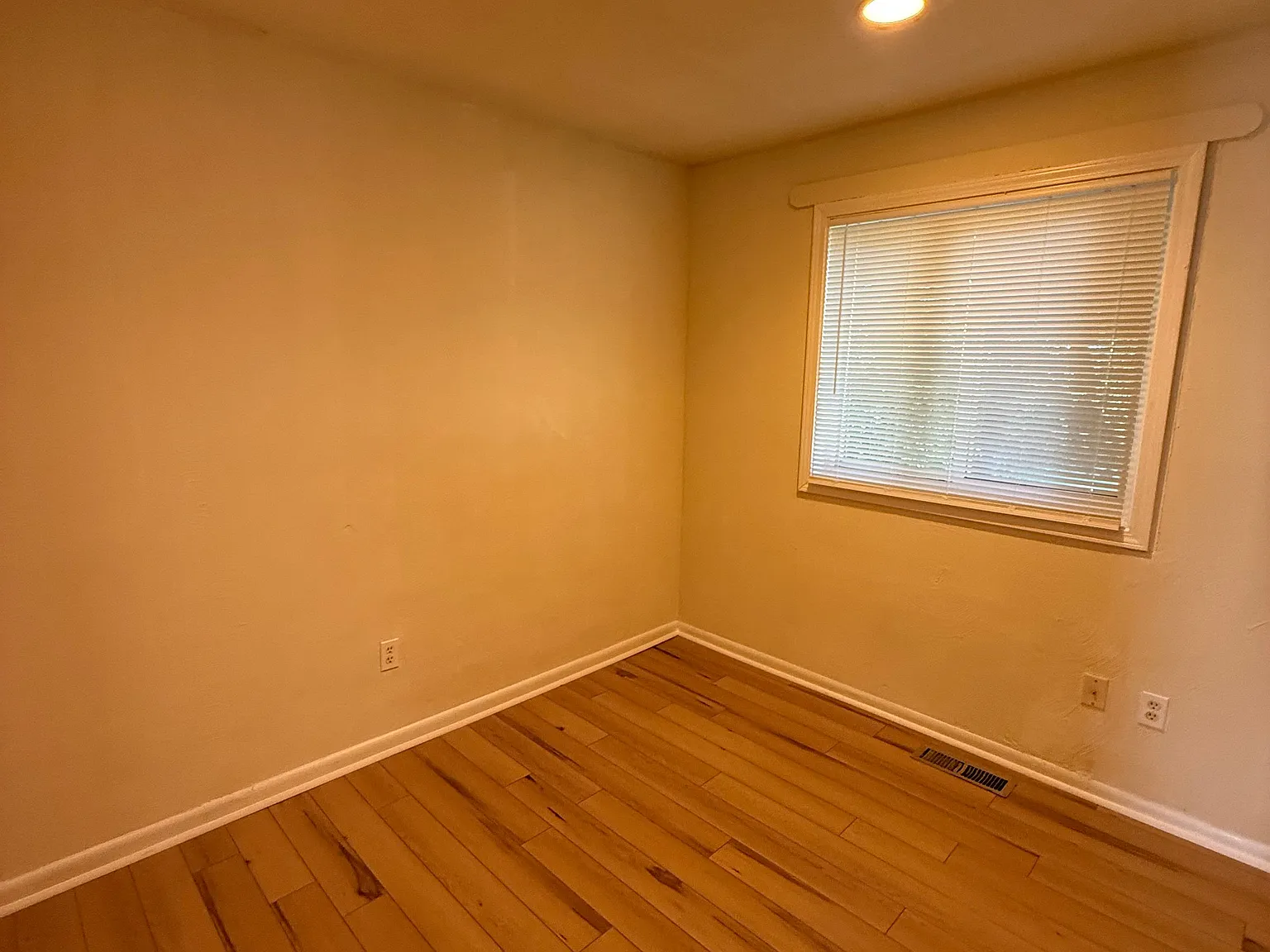 3 bed, 875 sqft, $1,900 — Photo 4