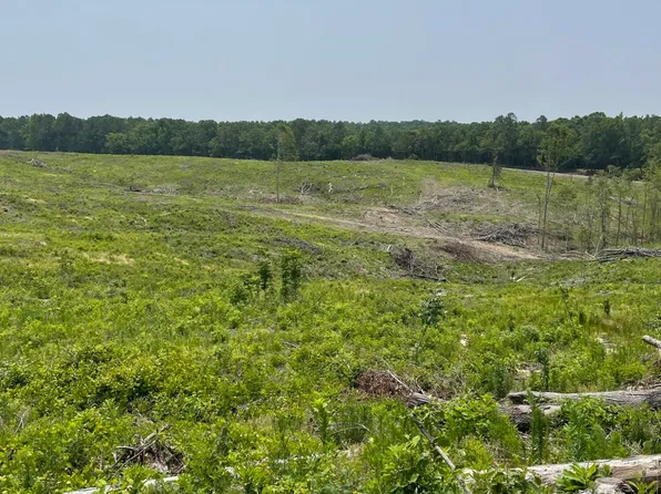 Hendrix Pine Grove Rd, Coffeeville, MS 38922