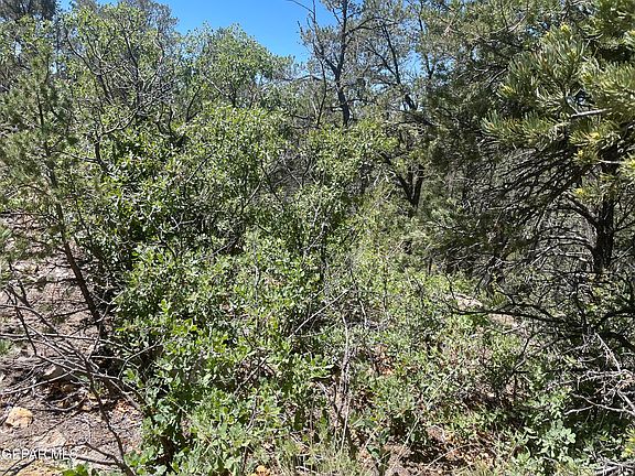 3rd image of 60 Canyon Rd