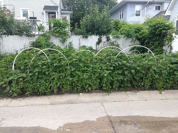 3rd image of 408-10 Central Ave