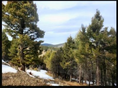 Copper Cross Moffett Gulch Rd #3969, Melrose, MT, 59743