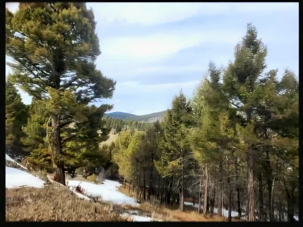 Copper Cross Moffett Gulch Rd #3969, Melrose, MT 59743