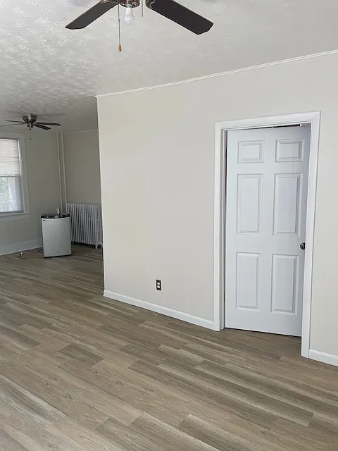 3 bed, 1.5 bath, $1,350 — Photo 3