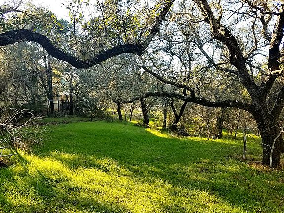 Shaded, gentle slope lot