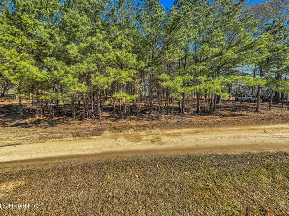 Los Nogales Blvd Lot 7, Poplarville, MS 39470