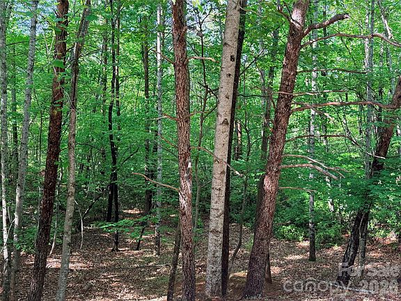 5th image of 0 McDaniel Ct