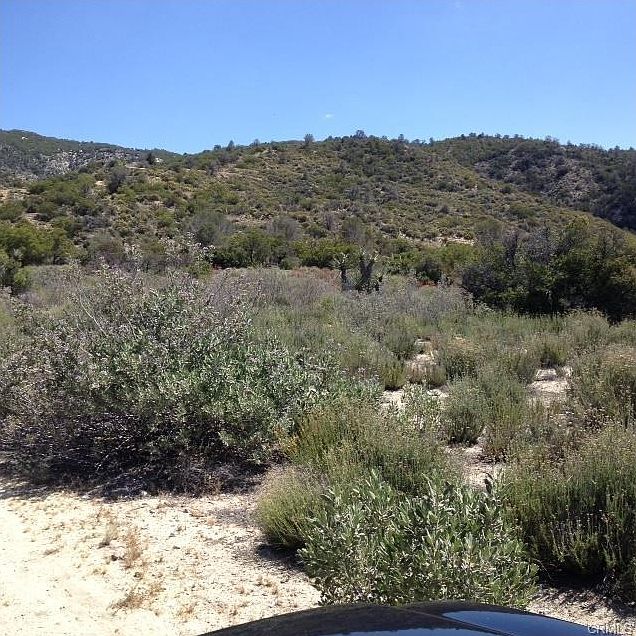 2nd image of 0 Forestry