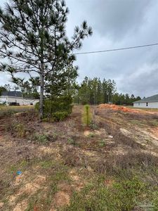 171 N American Farms Rd, Milton, FL, 32583