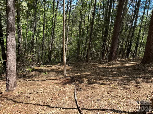 1665 Round Mountain Pkwy #69, Lenoir, NC 28645