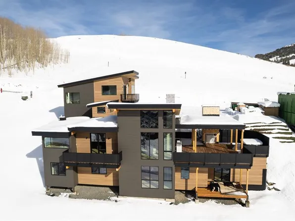 63 Cinnamon Mountain Road, Mt. Crested Butte, CO 81225