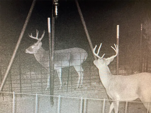 County Road 178, Old Glory, TX 79540