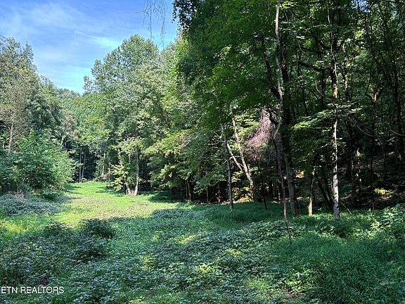 5th image of 1508 E Governor John Sevier Hwy