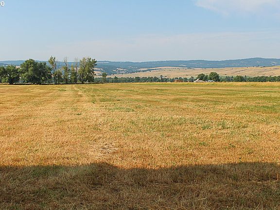 3rd image of 0 Upper Diamond Ln