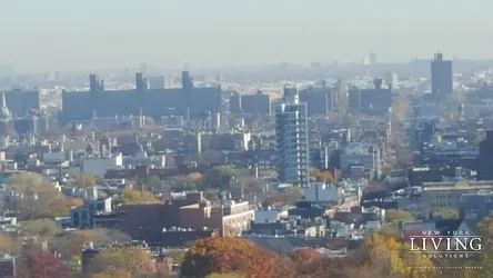 Rented by NY Living Solutions