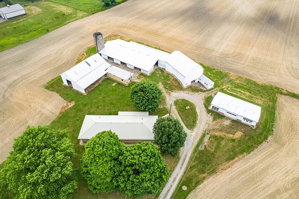 Real estate listing image