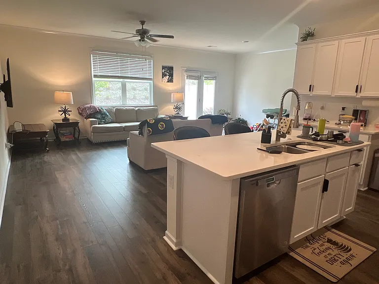 295 Silver Moon Dr — Photo 4