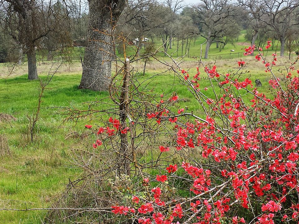 1st image of 4.97 Acres Hwy #49