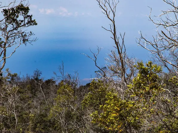92-9054 Tiki Ln Lot 11, Ocean View, HI 96737