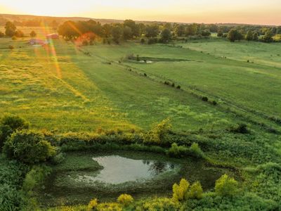 Tbd County Road 6160/6150, Dora, MO, 65637