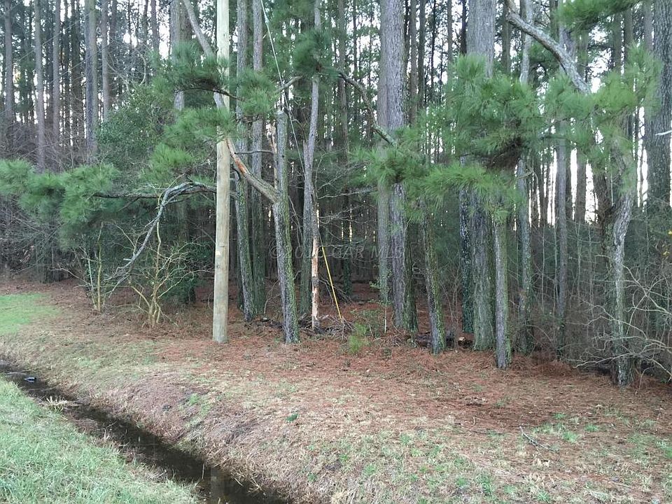 2nd image of Dividing Creek Rd