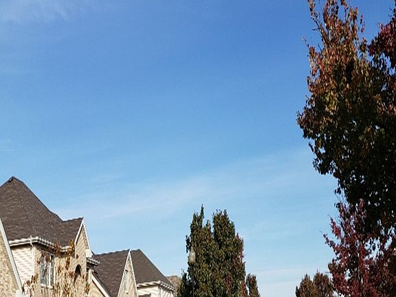 5th image of 16813 Manor Dr