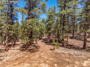 185 Sioux Trl, Westcliffe, CO 81252
