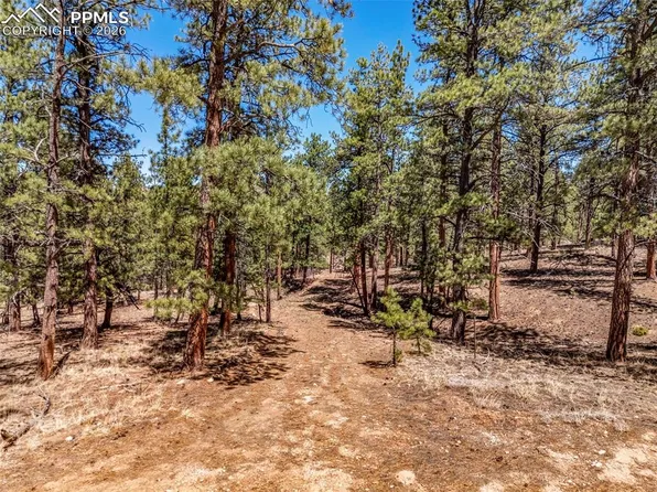 185 Sioux Trl, Westcliffe, CO 81252