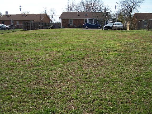 Backyard view from woodline