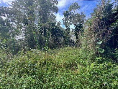 698 Kahoolawe Rd, Pahoa, HI, 96778