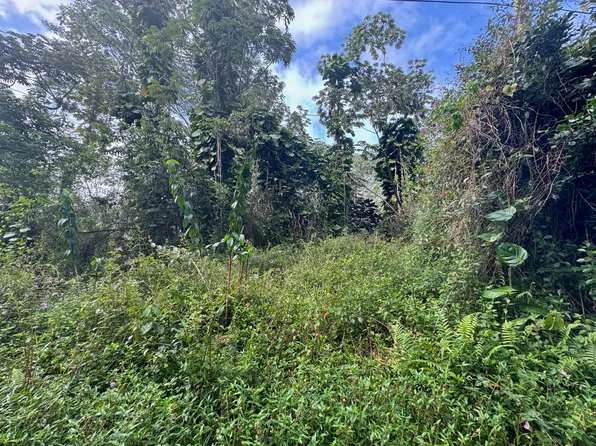 Kahoolawe Rd Lot 698, Pahoa, HI 96778